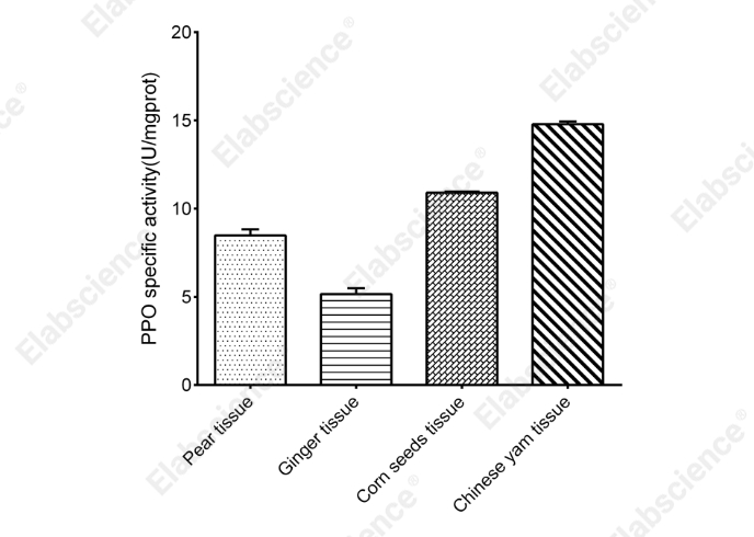 Polyphenol Oxidase (PPO) Activity Assay Kit - 1