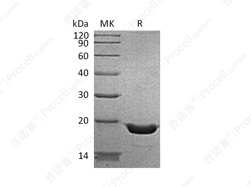 https://789.bio/ec/5xyq1R