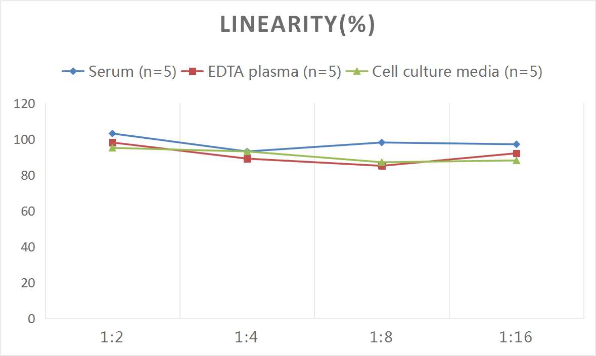 Mouse IL18BP(Interleukin 18 Binding Protein) ELISA Kit - 2
