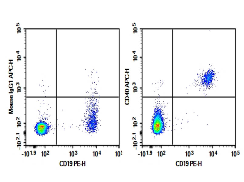 Purified Anti-Human CD40 Antibody[HB14]-searchlist-1