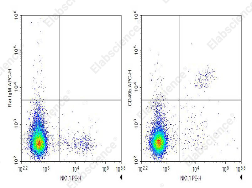 Purified Anti-Mouse CD49b Antibody[E10551] - 1