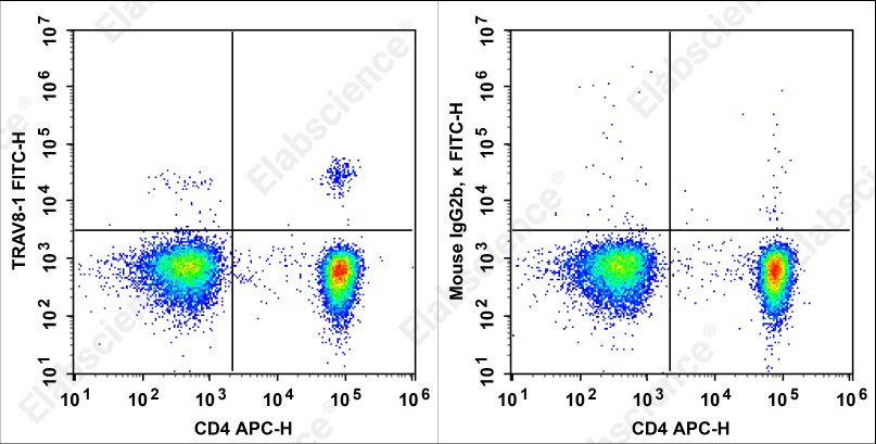 FITC Anti-Human TCRβV 8.1 Antibody[16G8] - 1