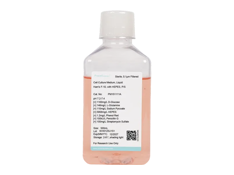 Ham's F-10, with HEPES, P/S - 1