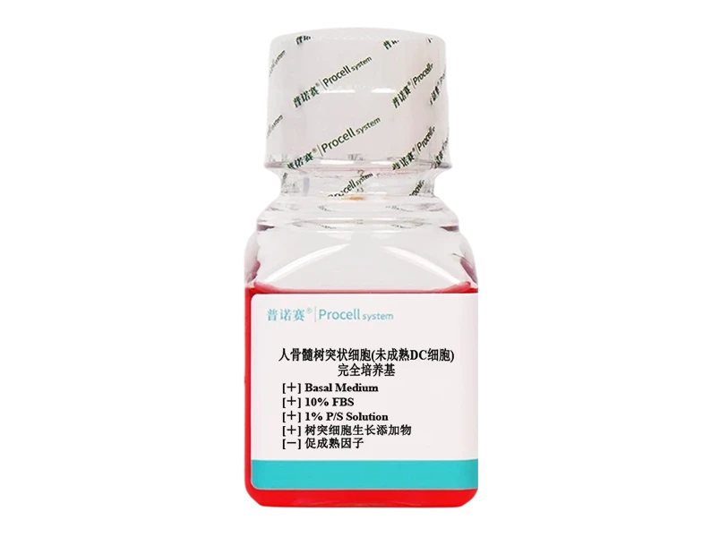 https://789.bio/ec/671tLodp