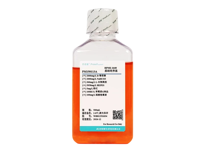 https://789.bio/ec/67ZjdDQM