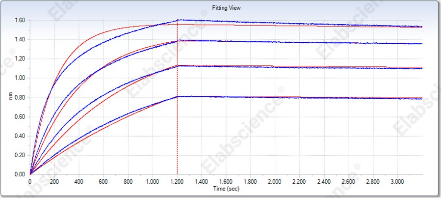 Recombinant Human/Cynomolgus VEGFA/VEGF165 Protein - 3