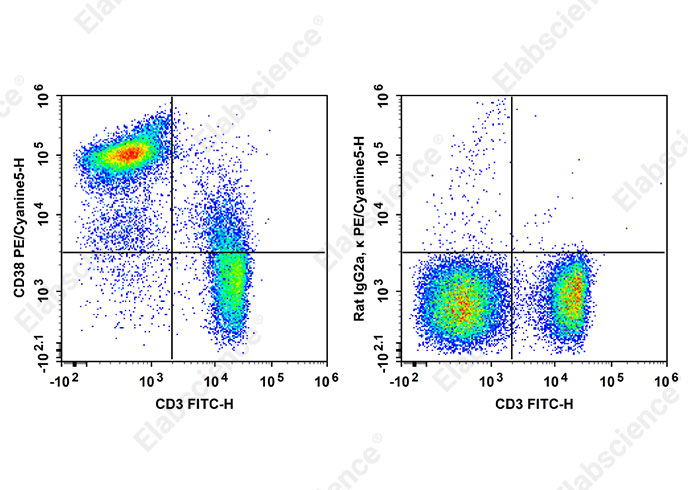 PE/Cyanine5 Anti-Mouse CD38 Antibody[90]-searchlist-1