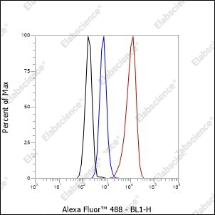 Recombinant PPP1CB Monoclonal Antibody - 5
