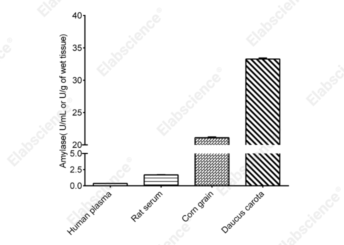 α-Amylase And β-Amylase Activity Assay Kit - 2