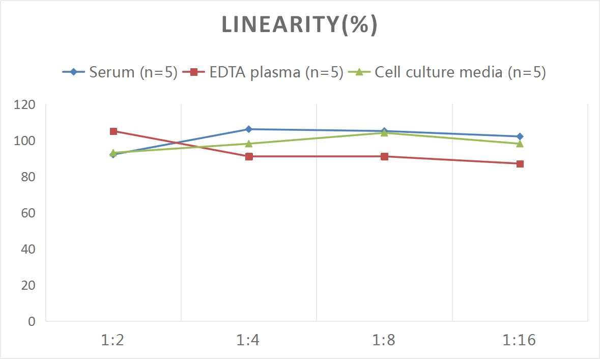 Mini Sample Mouse TIMP-1 (Tissue Inhibitors of Metalloproteinase 1) ELISA Kit-产品推荐-1