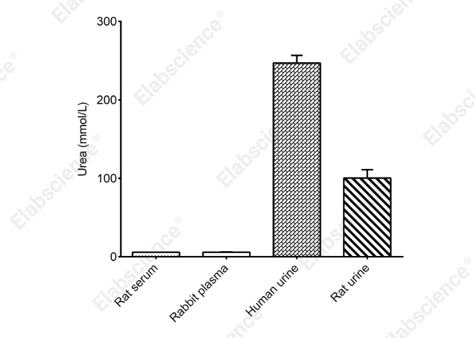 Urea (BUN) Colorimetric Assay Kit (Diacetyl Oxime Method) - 2