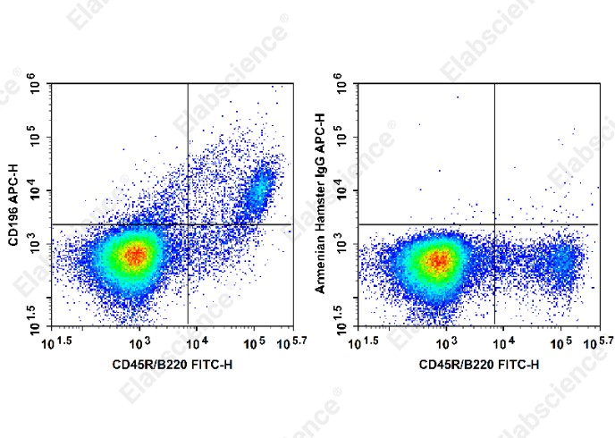 APC Anti-Mouse CD196 Antibody[29-2L17] - 1