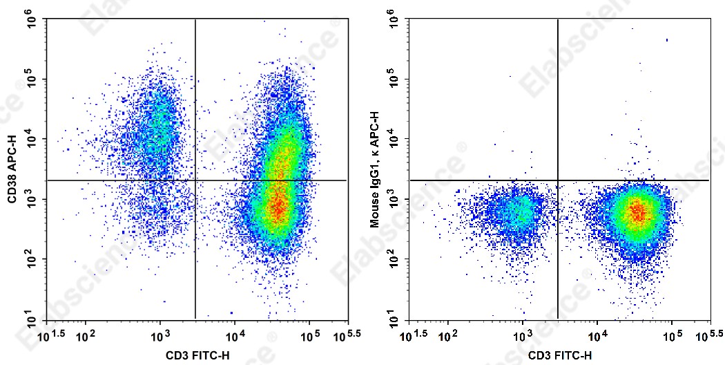 APC Anti-Human CD38 Antibody[HB-7] - 1