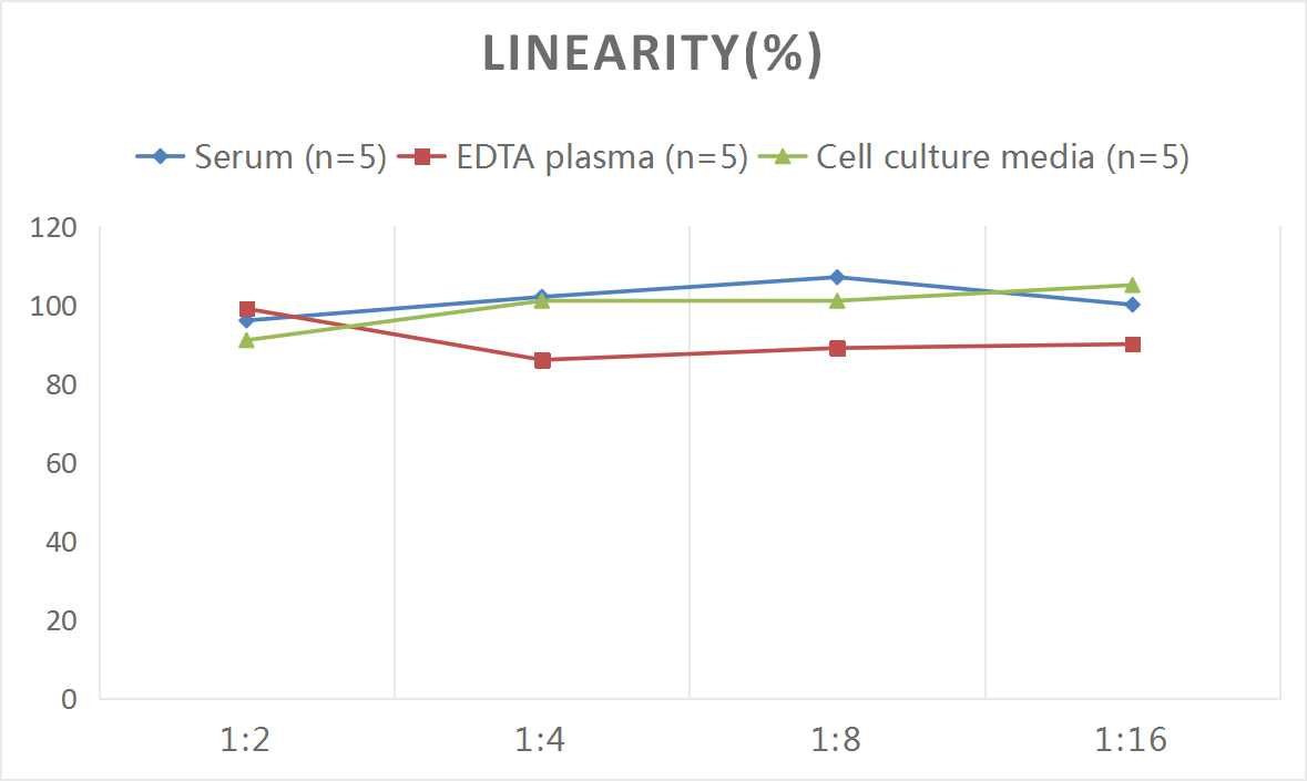 Human CXCL16 (Chemokine C-X-C-Motif Ligand 16) ELISA Kit-产品推荐-1