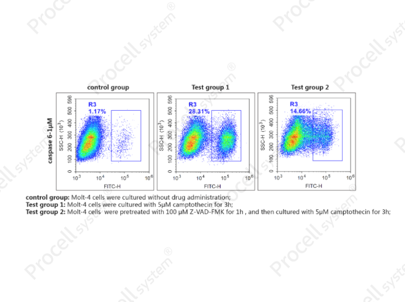 Caspase 6 Activity Detection Substrate for Flow Cytometry