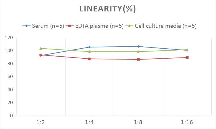 Human BMP-2(Bone Morphogenetic Protein 2) ELISA Kit-1