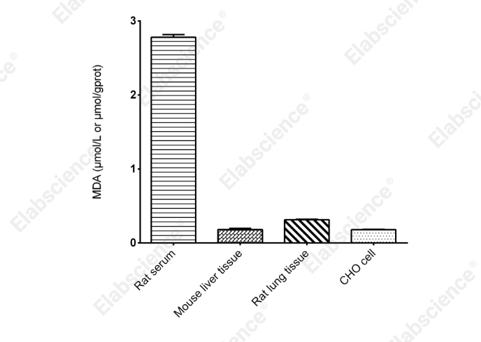Malondialdehyde (MDA) Fluorometric Assay Kit - 2