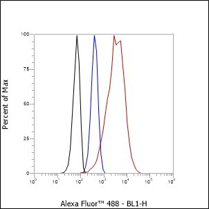 Recombinant RING1B Monoclonal Antibody - small - 6