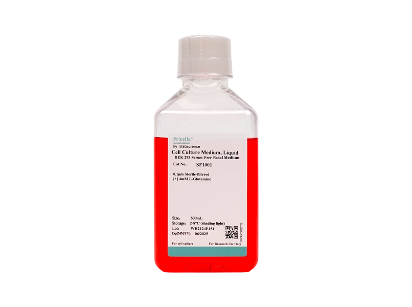 HEK293 Serum-Free Basal Medium-searchlist-1