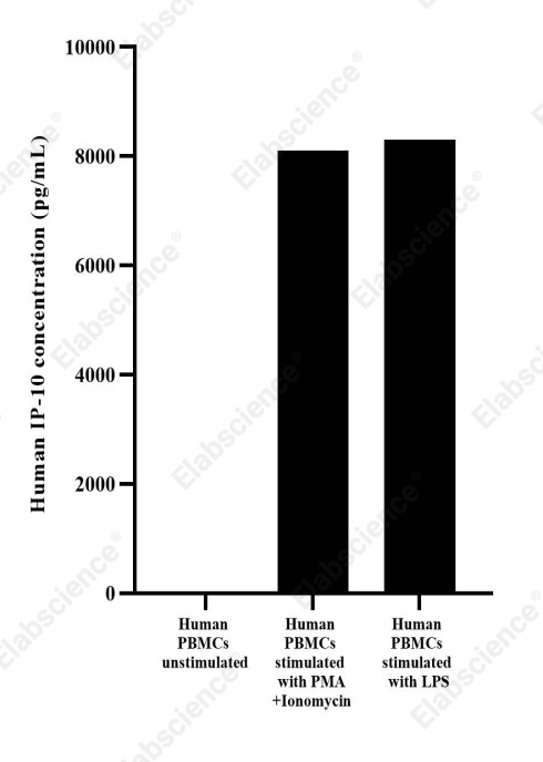 Uncoated Human IP-10/CXCL10(Interferon Gamma Induced Protein 10kDa) ELISA Kit - 2