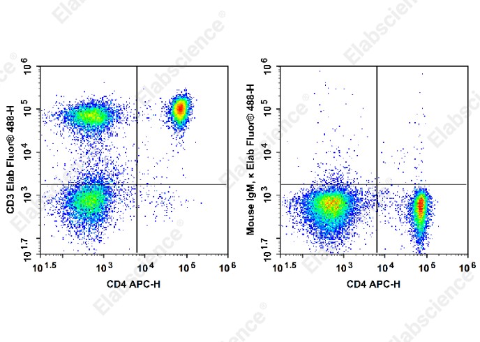 Elab Fluor<sup>&reg;</sup>488 Anti-Rat CD3 Antibody[1F4] - 1