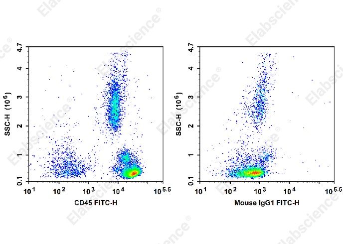 FITC Anti-Human CD45 Antibody[BC8] - 1