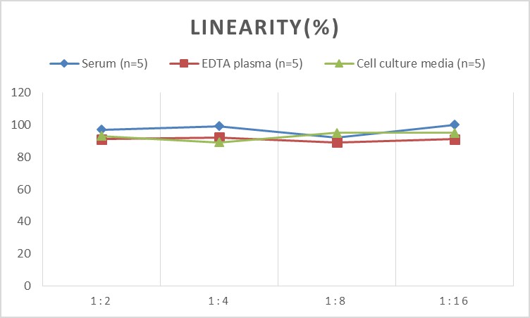 Mouse IFN-γ(Interferon Gamma) ELISA Kit-产品推荐-4