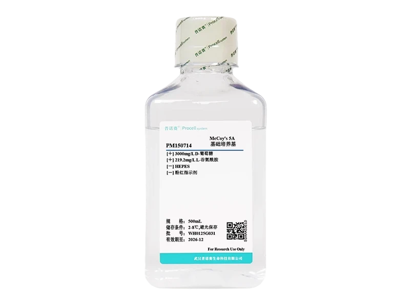 https://789.bio/ec/6t5VWssF