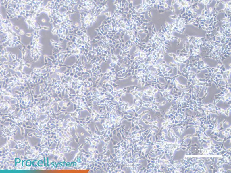 D283 MedD283 Med - 2