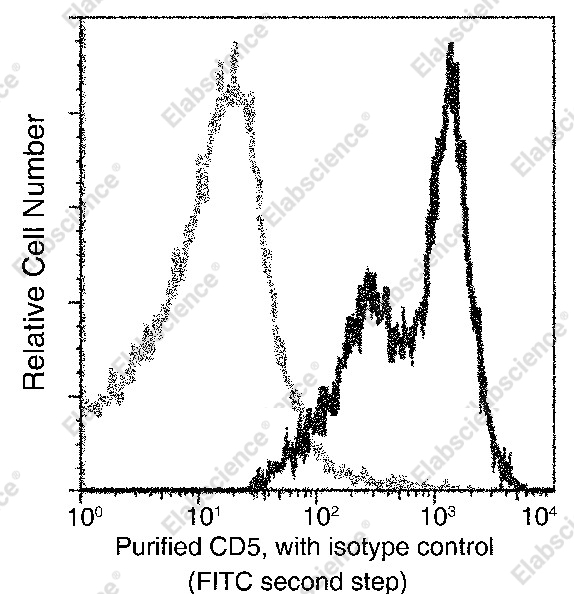 CD5/Cluster of Differentiation 5 Monoclonal Antibody - 1