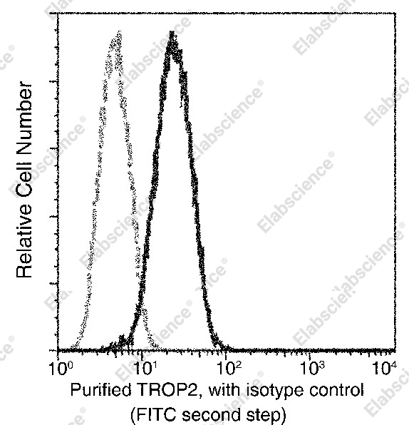 TROP2/TACSTD2 Monoclonal Antibody - 4