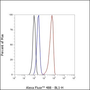 Recombinant ATF1 Monoclonal Antibody - small - 7