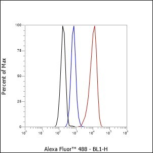 Recombinant PPP1CB Monoclonal Antibody - small - 5