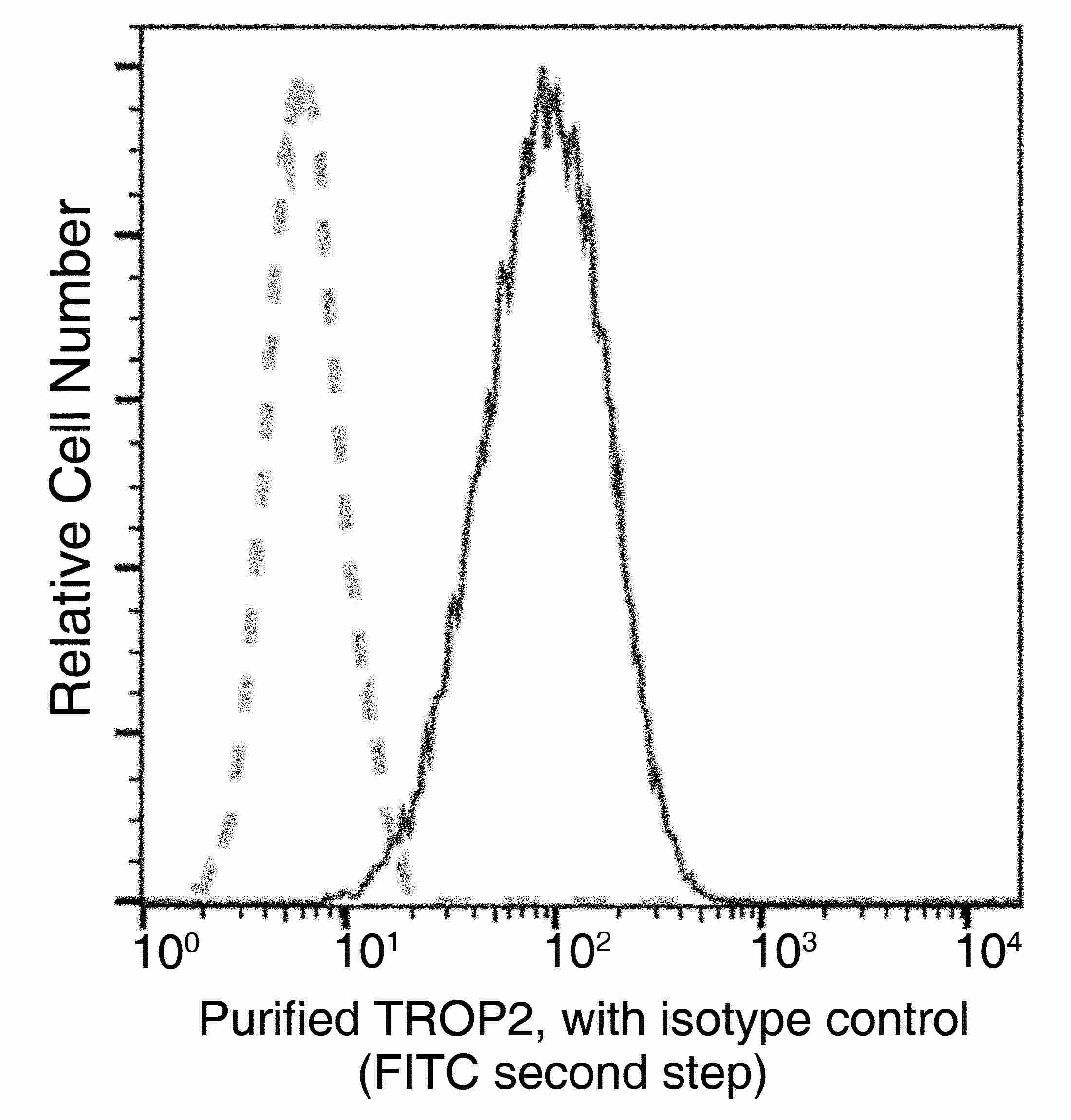 TROP2/TACSTD2 Monoclonal Antibody - small - 11