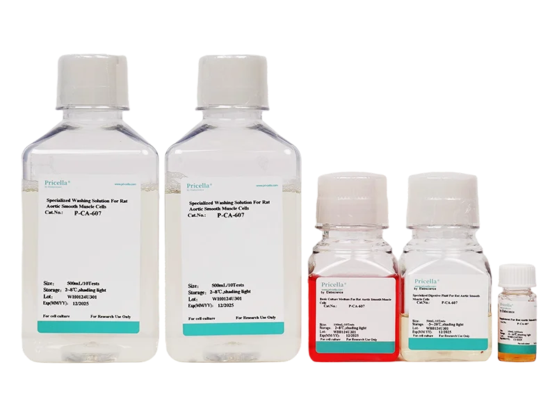 Rat Aortic Smooth Muscle Cells Isolation and Culture Kit