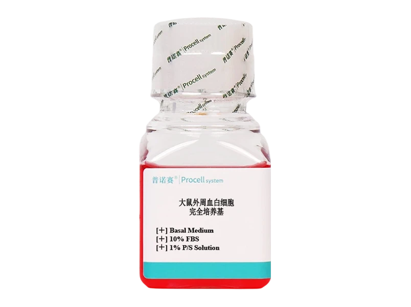 https://789.bio/ec/7NWaXqKl