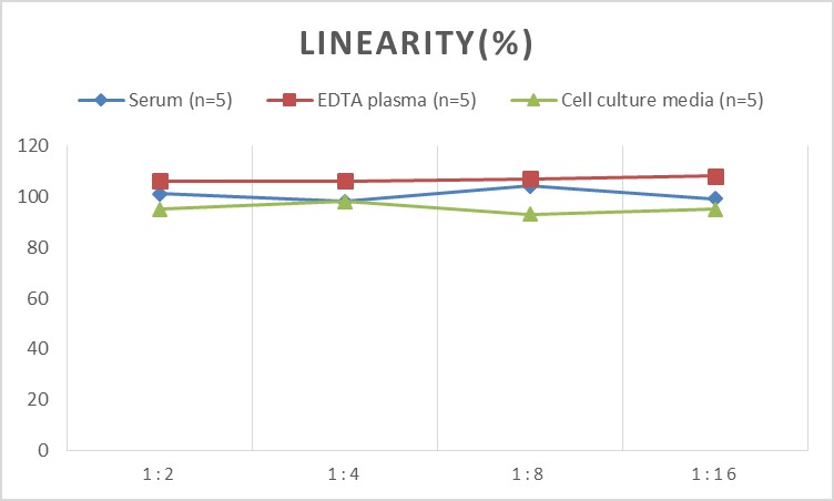 High Sensitivity Mouse IL-6(Interleukin 6) ELISA Kit-1