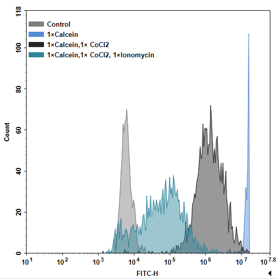 Mitochondrial Permeability Transition Pore (mPTP) Fluorometric Assay Kit - 1