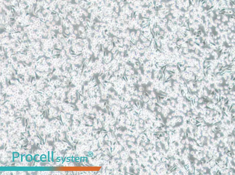 ARD Cell Complete MediumARD Cell Complete Medium - 3