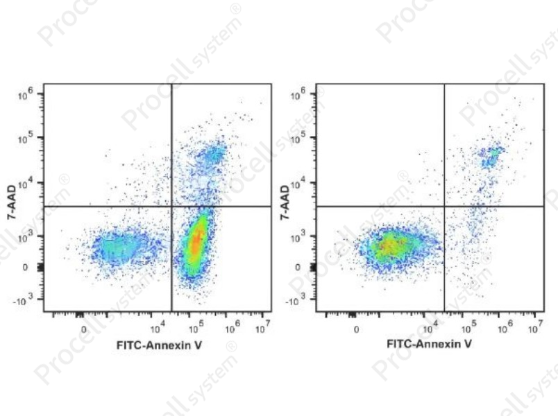 Annexin V-FITC/7-AAD Apoptosis KitAnnexin V-FITC/7-AAD Apoptosis Kit - 1