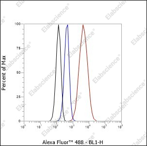 Recombinant CENP-A Monoclonal Antibody - 7