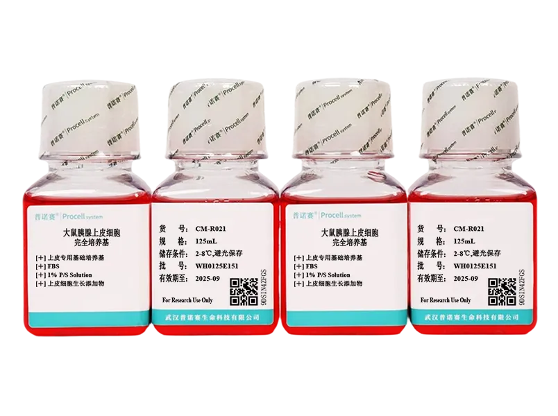 https://789.bio/ec/7fuUi9iK