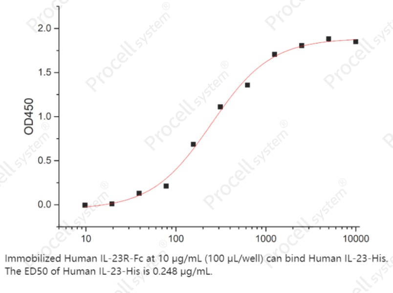 IL-23R (C-Fc), Human, RecombinantIL-23R (C-Fc), Human, Recombinant - 2