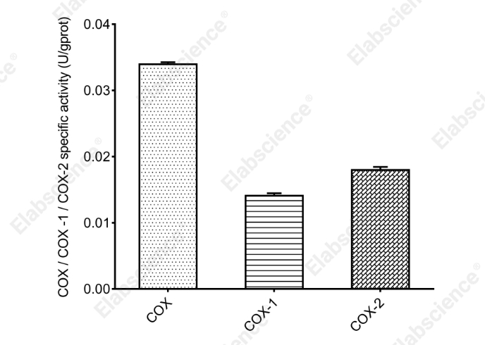 Cyclooxygenase (COX) Activity Fluorometric Assay Kit - 2