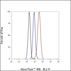 Recombinant Inhibin alpha Monoclonal Antibody - small - 5