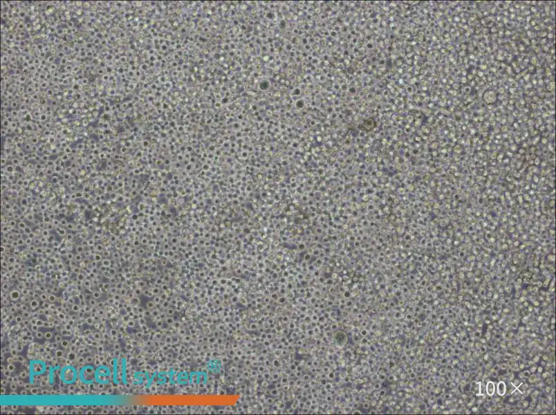 Pfeiffer Cell Complete MediumPfeiffer Cell Complete Medium - 3