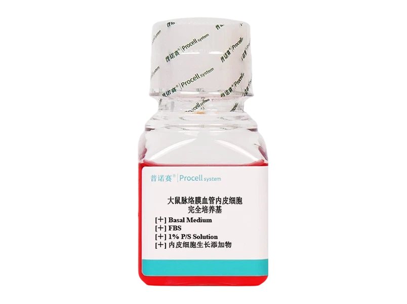 https://789.bio/ec/7lv7k31Y