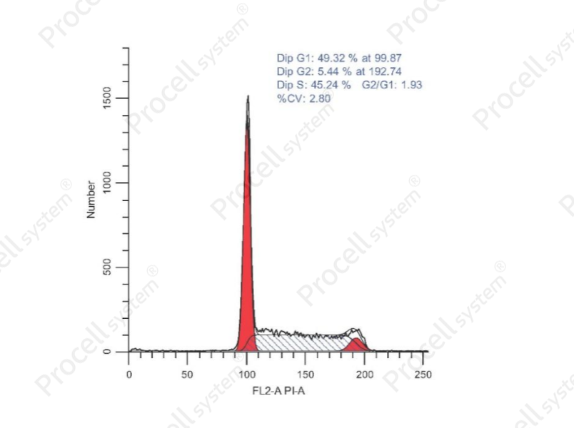 Cell Cycle Assay Kit (Red Fluorescence)