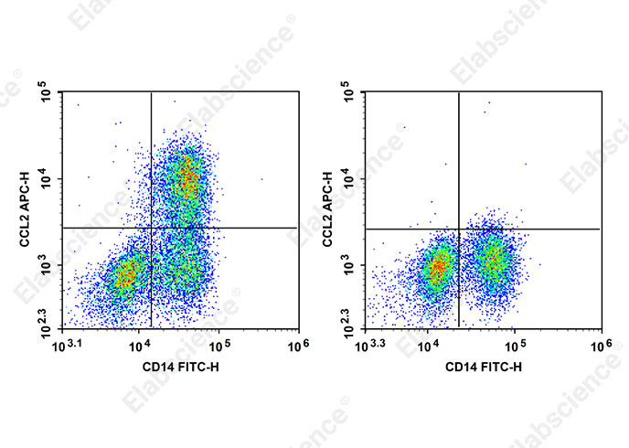 APC Anti-Human CCL2 Antibody[2H5]-searchlist-1