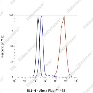 Recombinant alpha smooth muscle Actin Monoclonal Antibody - 8